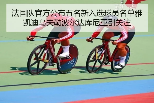 法国队官方公布五名新入选球员名单雅凯迪乌夫勒波尔达库尼亚引关注